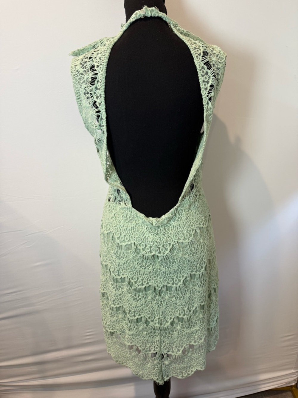 Free People Daydream Lace Bodycon - Picture 4 of 5